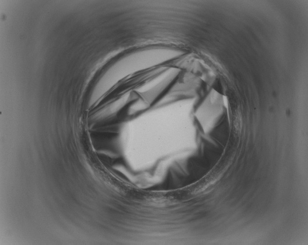 X0000081450540200702092252