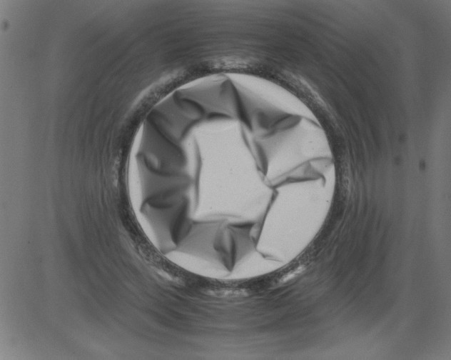 X0000081450543200702092252