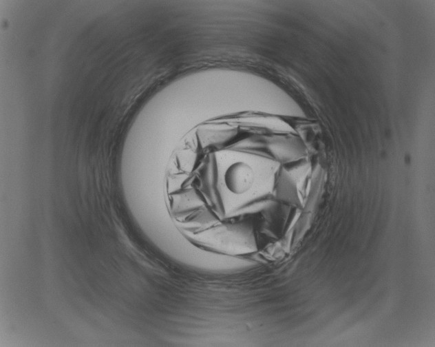X0000081450546200702092252