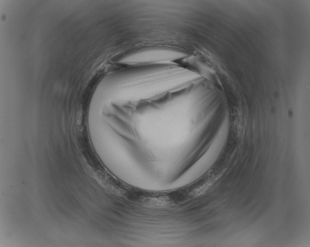 X0000081450548200702092252