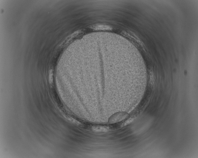 X0000081450549200702092252