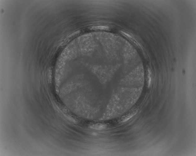 X0000081450551200702092252