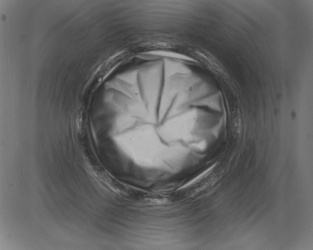 X0000081450552200702092252