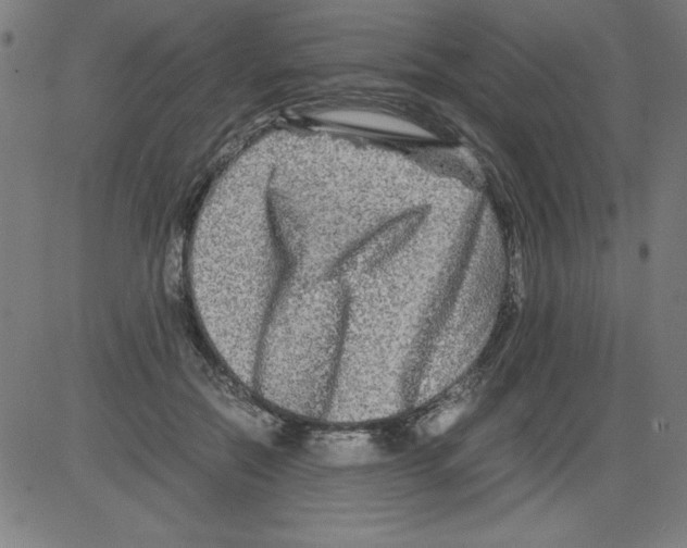 X0000081450554200702092252