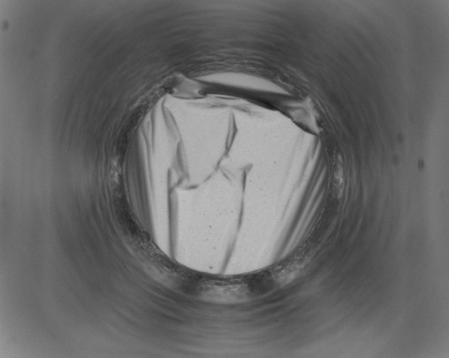 X0000081450555200702092252