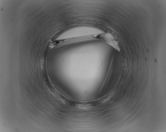 X0000081450556200702092252