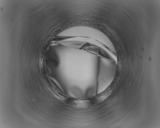 X0000081450558200702092252