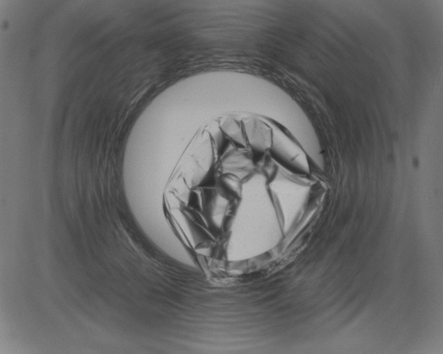 X0000081450560200702092252