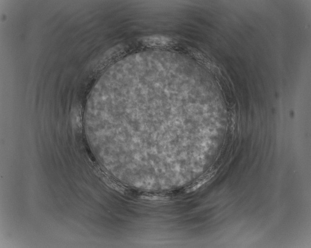 X0000081450561200702092252