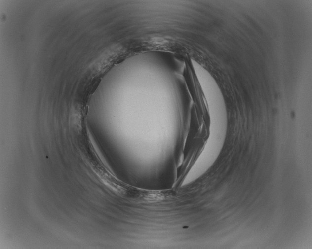 X0000081450562200702092252