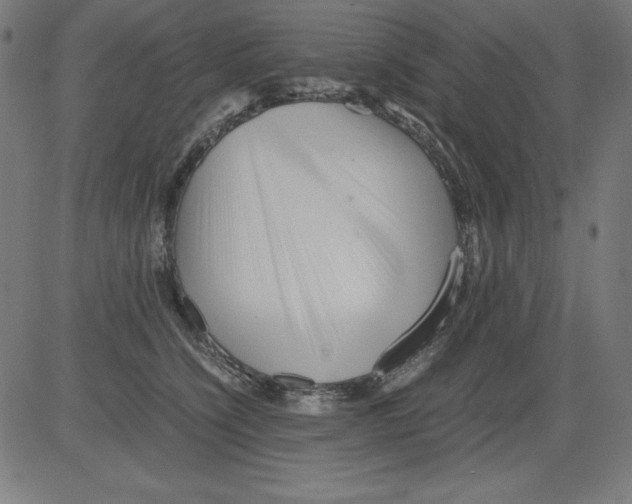 X0000081450564200702092252
