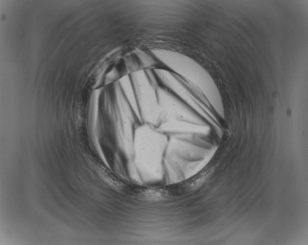 X0000081450566200702092252