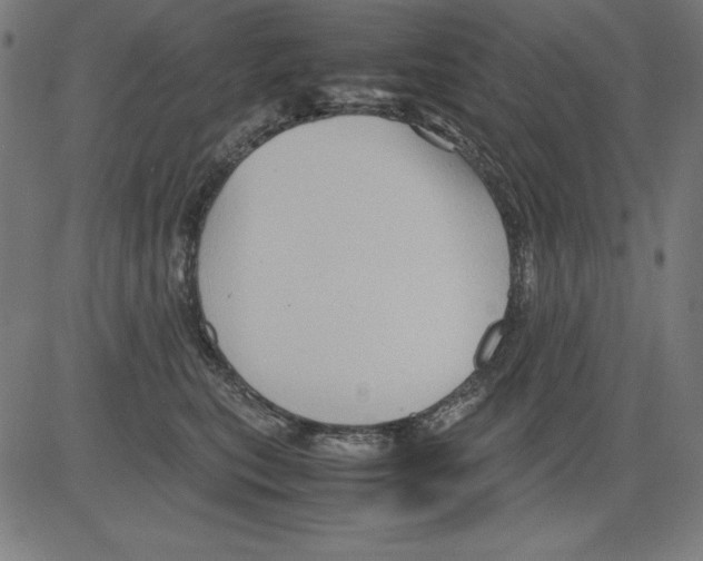 X0000081450567200702092252