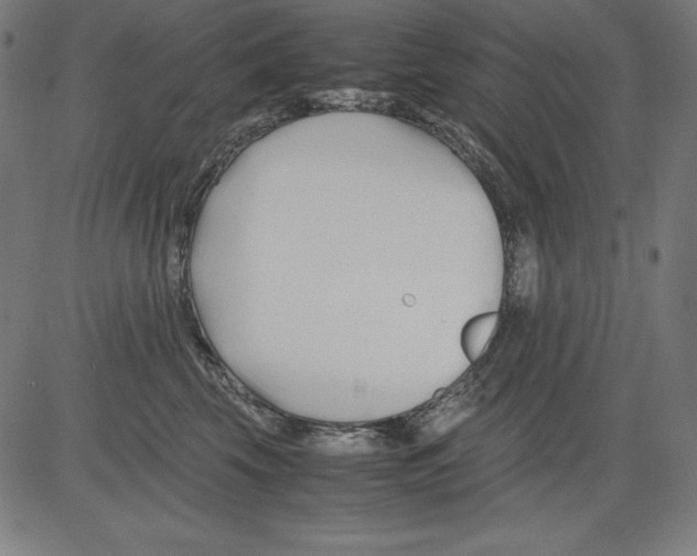 X0000081450569200702092253
