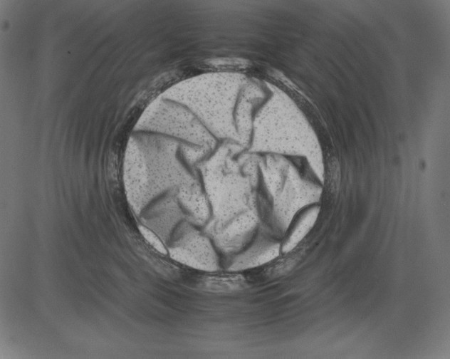 X0000081450571200702092253