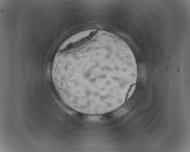 X0000081450573200702092253