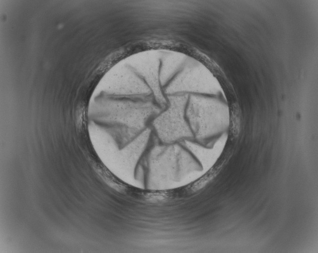X0000081450574200702092253