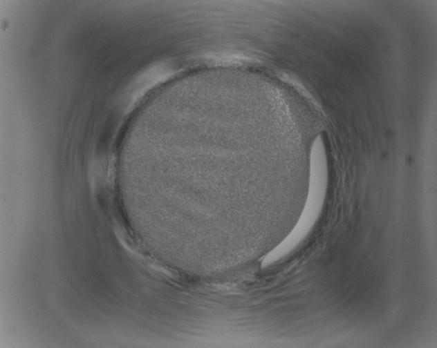 X0000081450583200702092252