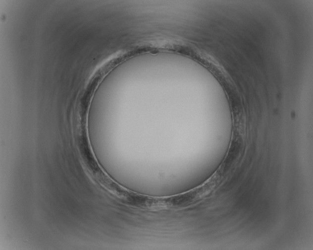 X0000081450587200702092252