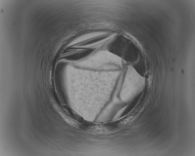 X0000081450589200702092252