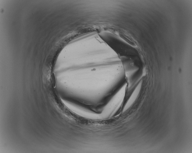 X0000081450593200702092252