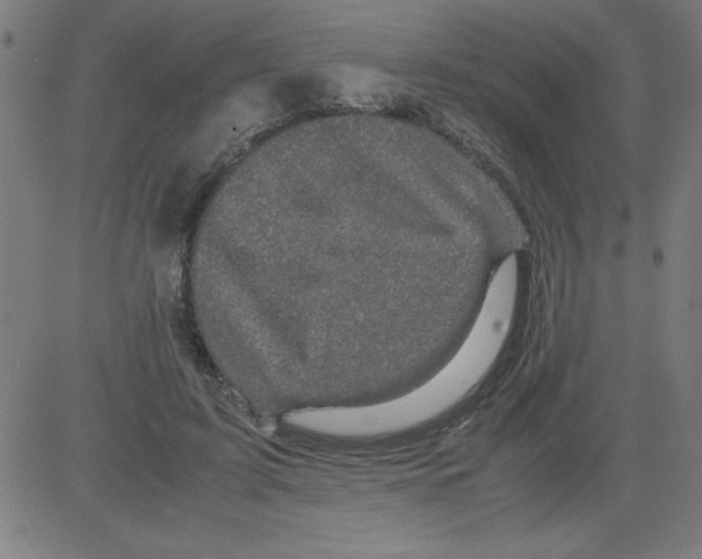 X0000081450595200702092252