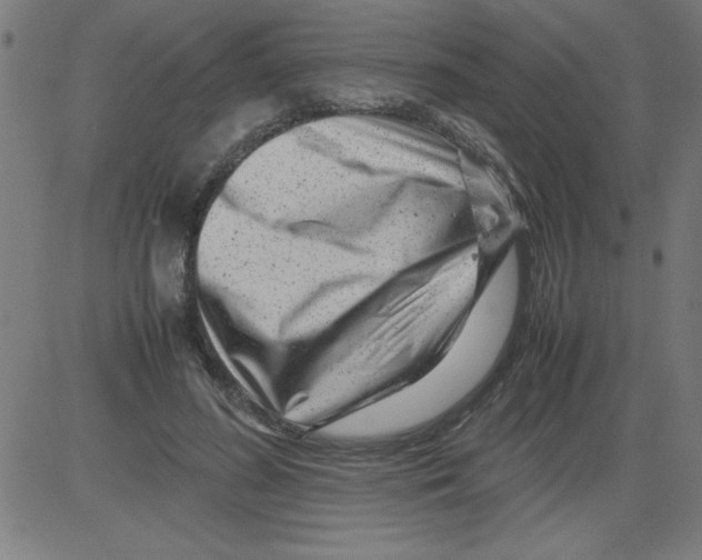 X0000081450596200702092252