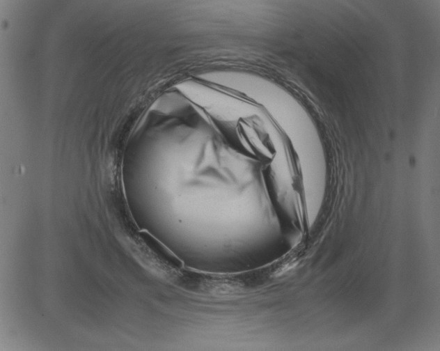 X0000081450597200702092252
