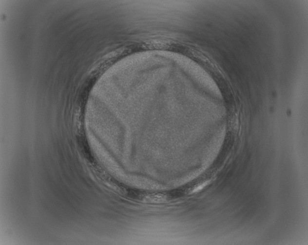 X0000081450599200702092251
