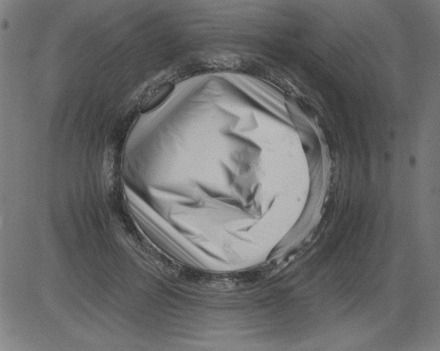 X0000081450600200702092251