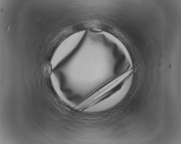 X0000081450601200702092251