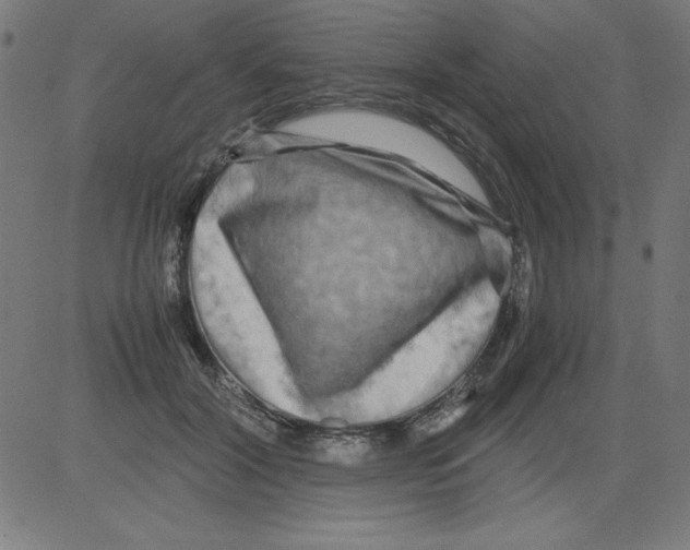 X0000081450604200702092251