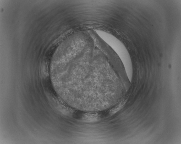 X0000081450606200702092251