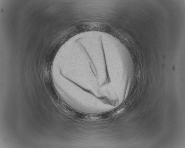 X0000081450607200702092251