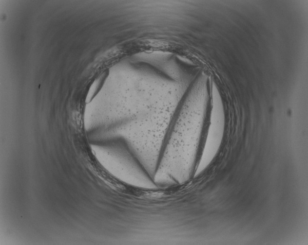 X0000081450609200702092251