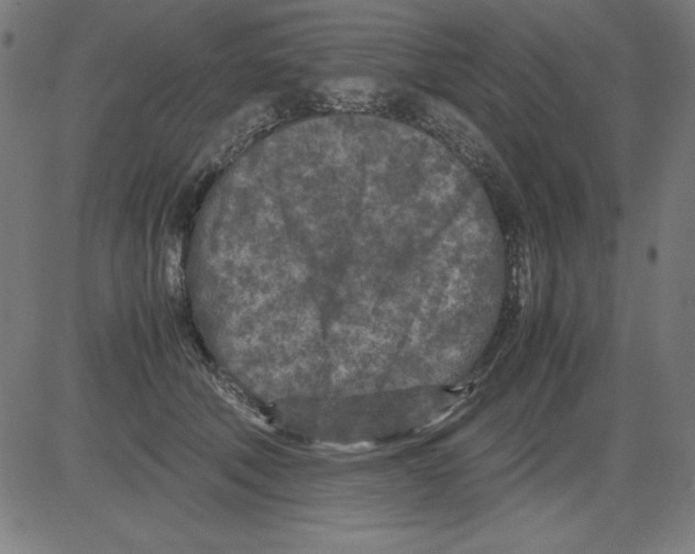 X0000081450610200702092251