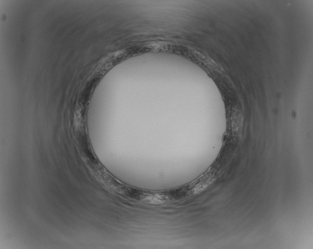X0000081450611200702092251