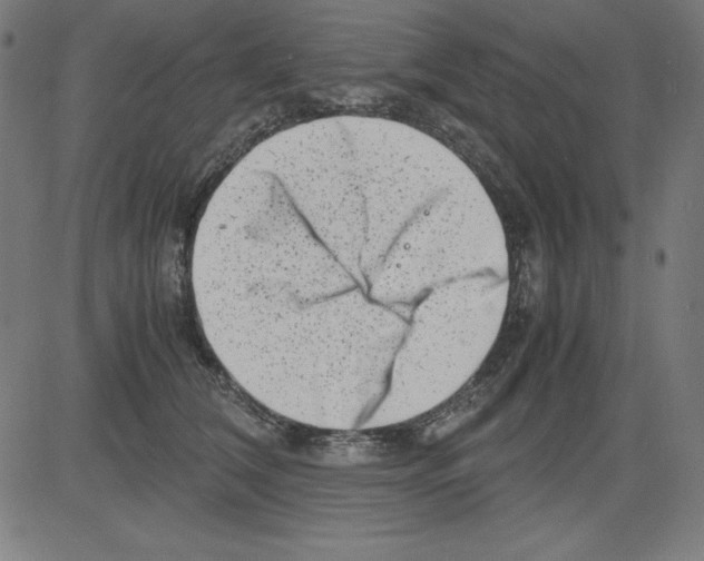 X0000081450612200702092251