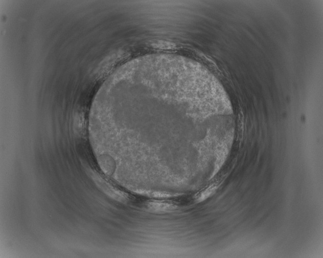 X0000081450614200702092251