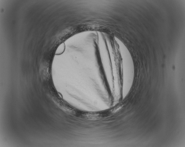 X0000081450615200702092251