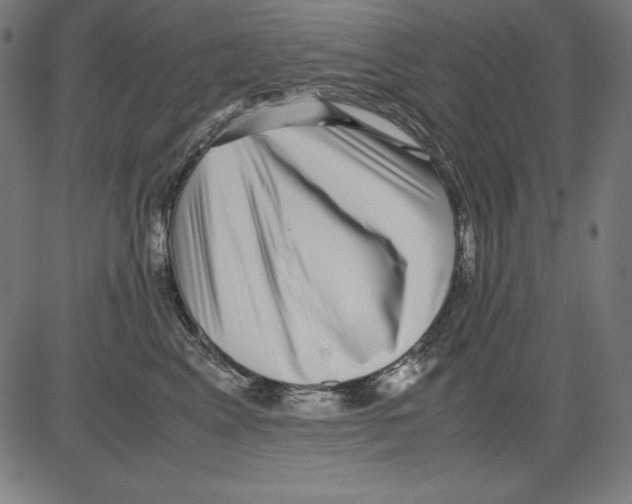 X0000081450617200702092251
