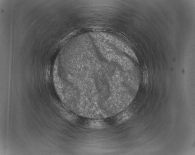 X0000081450618200702092251