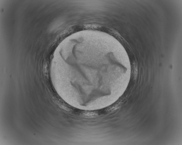 X0000081450619200702092251