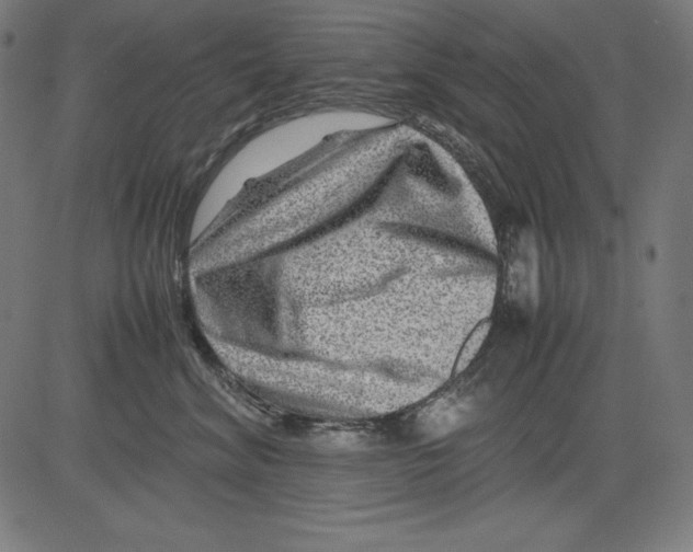 X0000081450620200702092251