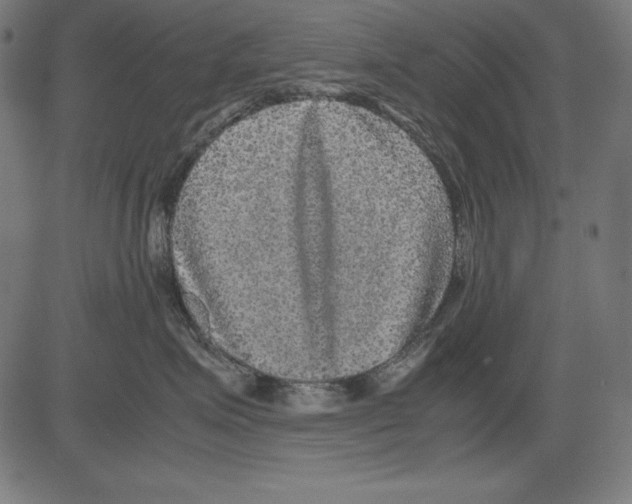 X0000081450623200702092251