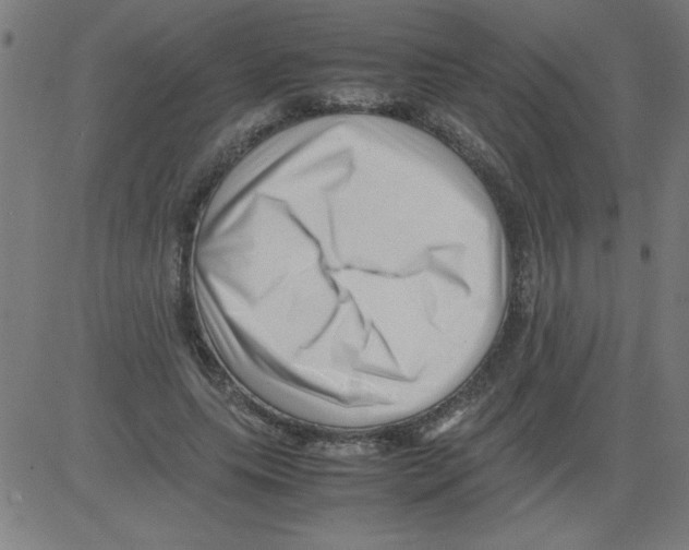 X0000081450639200702092251