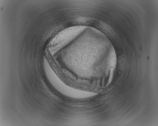 X0000081450642200702092251