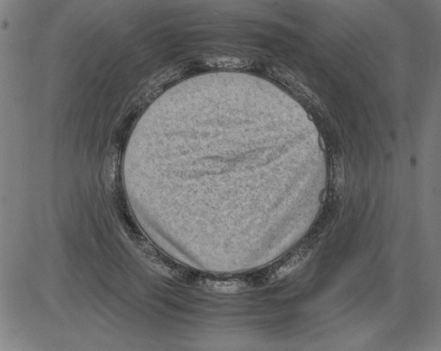 X0000081450645200702092251