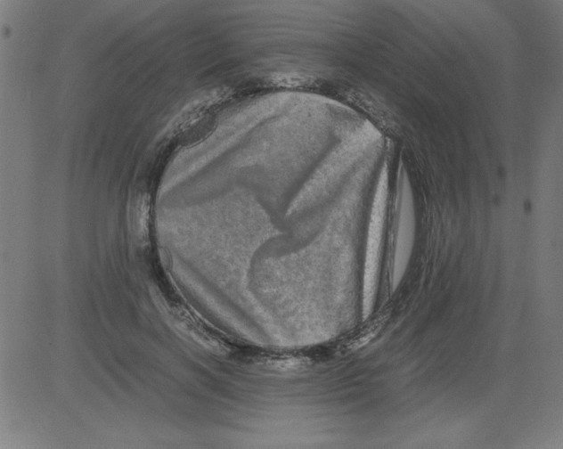 X0000081450646200702092251