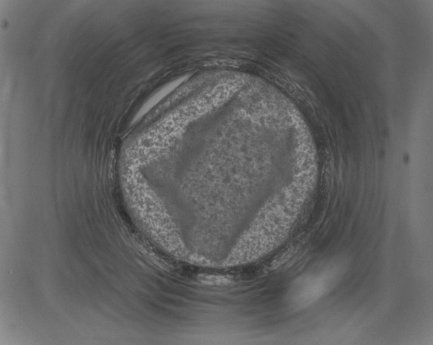 X0000081450649200702092251